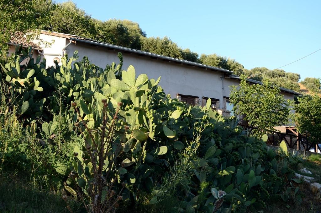 Hotel Toscano Tarsia Exterior foto
